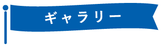 ギャラリー